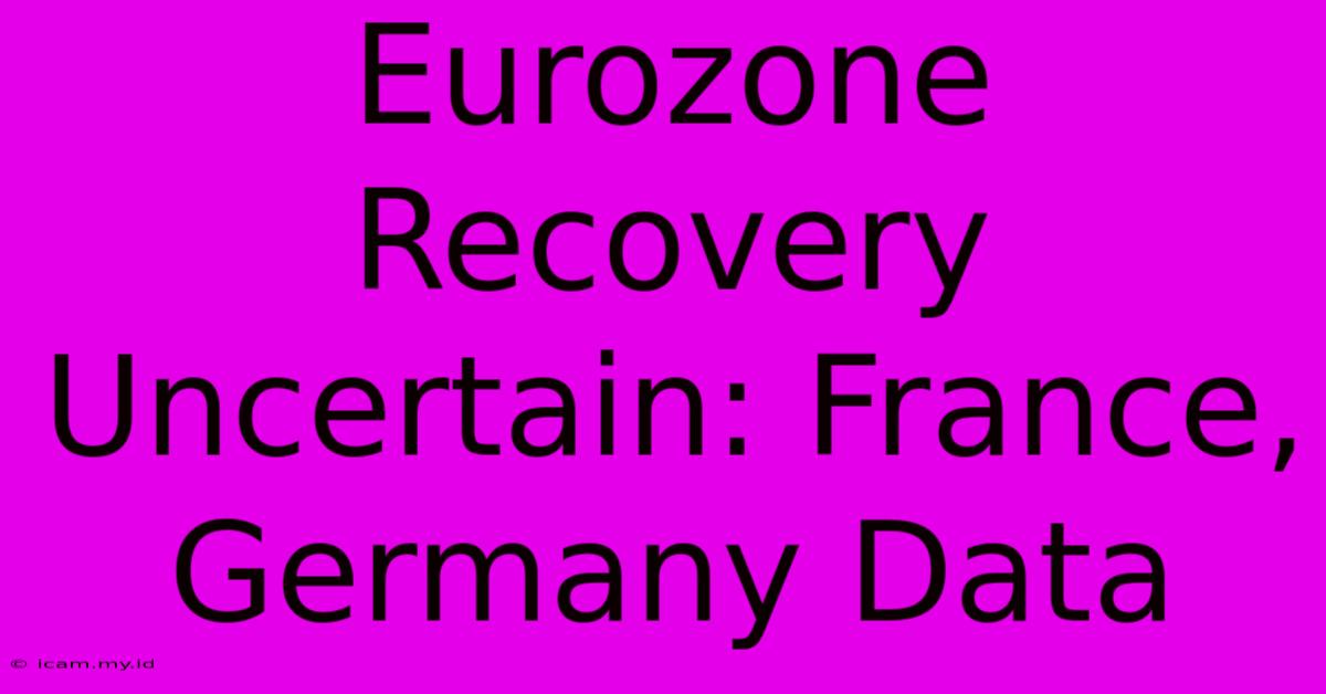 Eurozone Recovery Uncertain: France, Germany Data