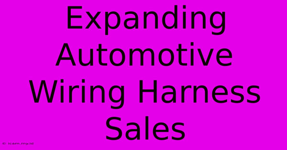 Expanding Automotive Wiring Harness Sales