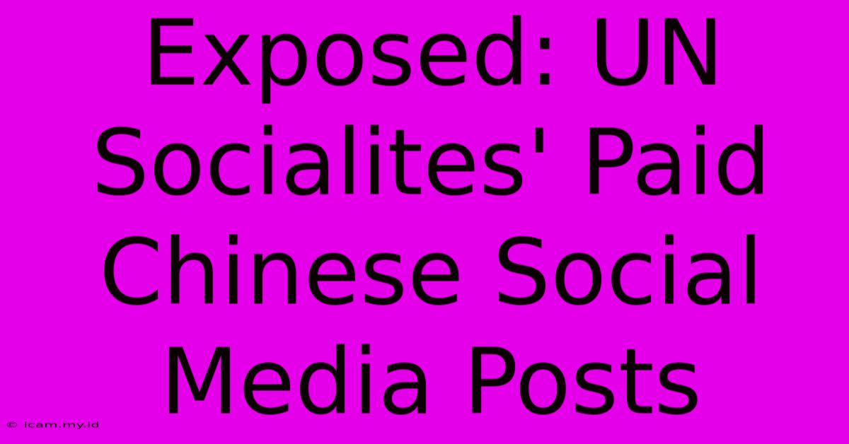 Exposed: UN Socialites' Paid Chinese Social Media Posts