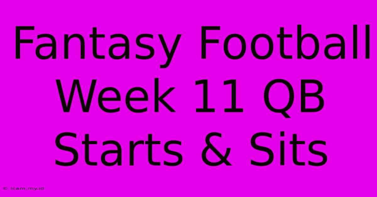 Fantasy Football Week 11 QB Starts & Sits