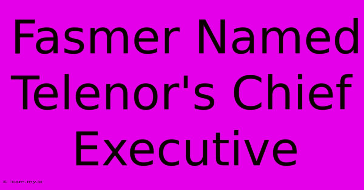 Fasmer Named Telenor's Chief Executive