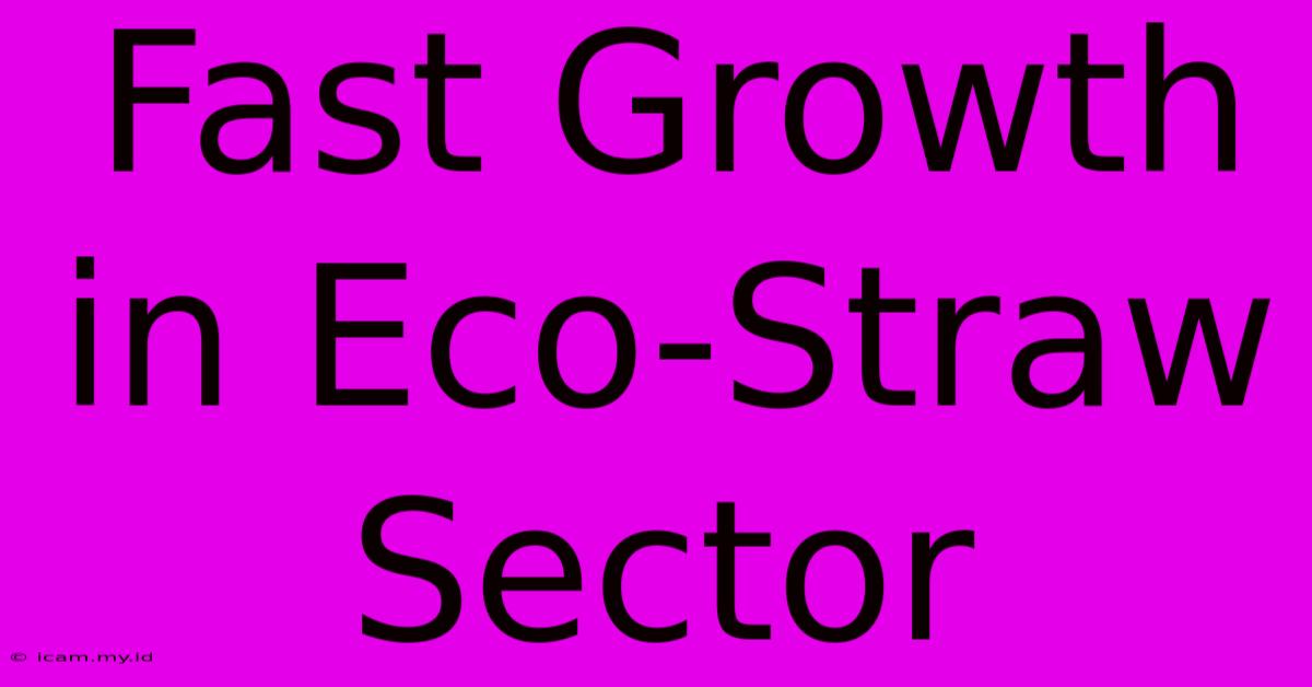 Fast Growth In Eco-Straw Sector