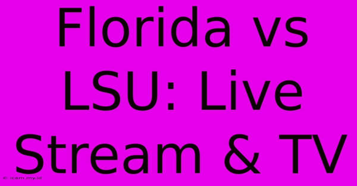 Florida Vs LSU: Live Stream & TV