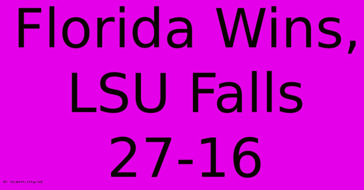 Florida Wins, LSU Falls 27-16