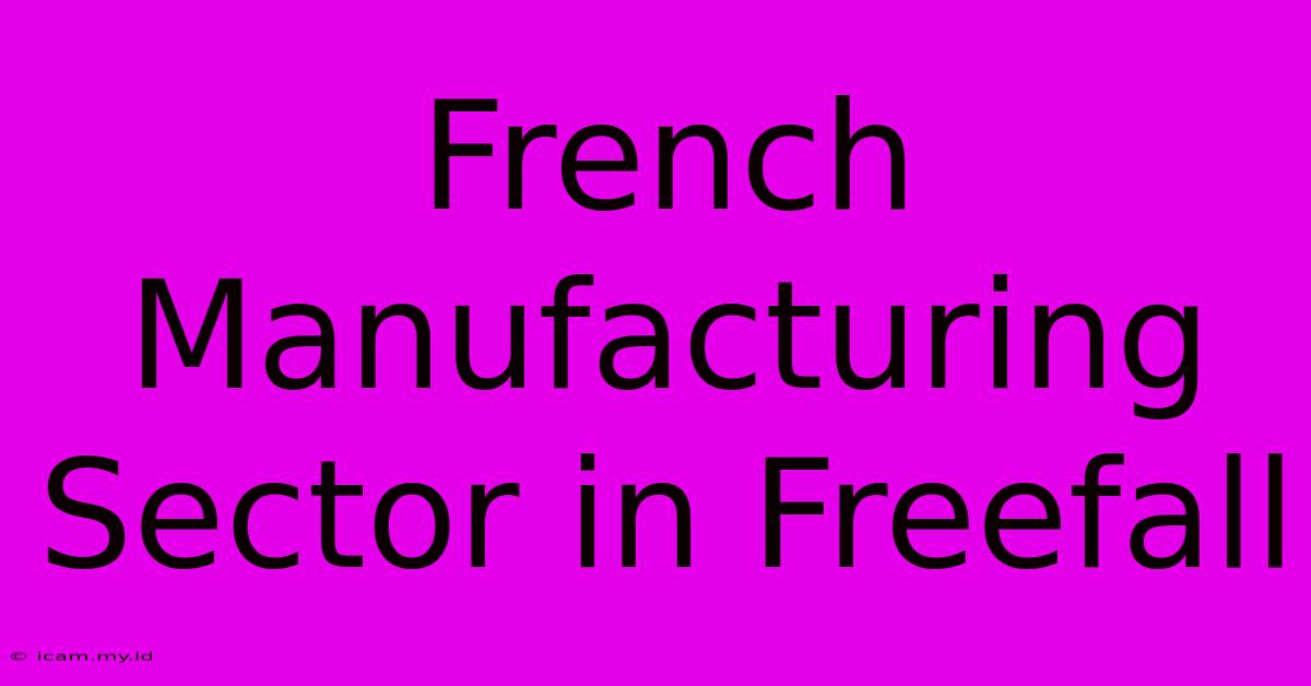 French Manufacturing Sector In Freefall