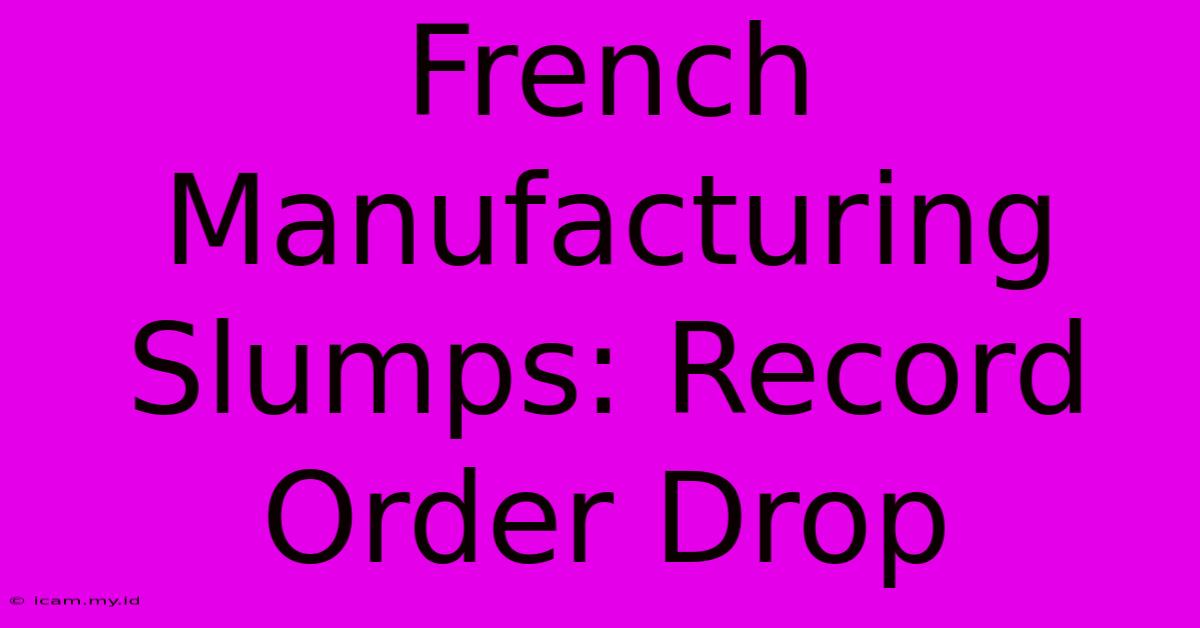 French Manufacturing Slumps: Record Order Drop