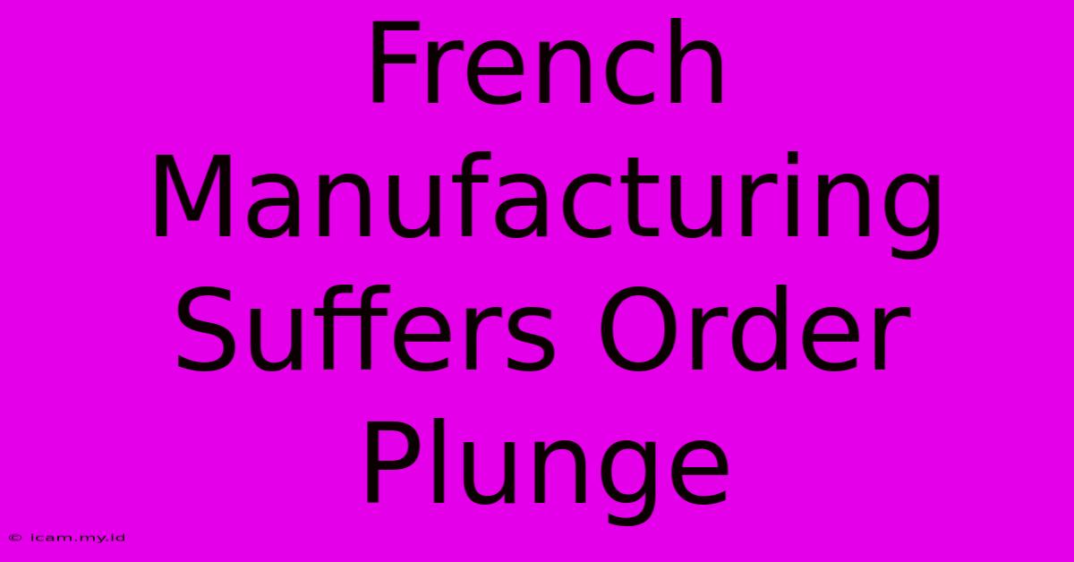 French Manufacturing Suffers Order Plunge