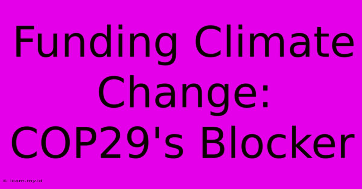 Funding Climate Change: COP29's Blocker