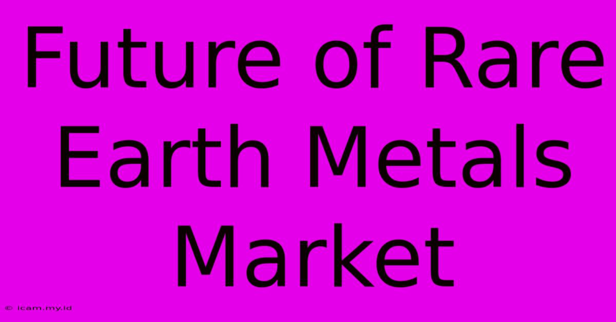 Future Of Rare Earth Metals Market