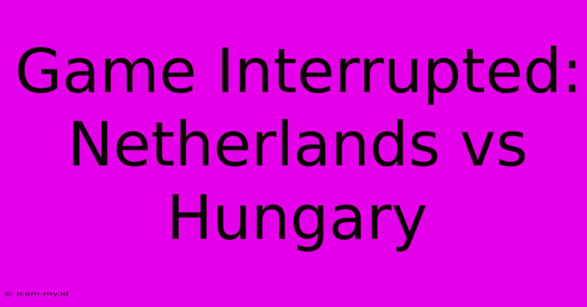 Game Interrupted: Netherlands Vs Hungary