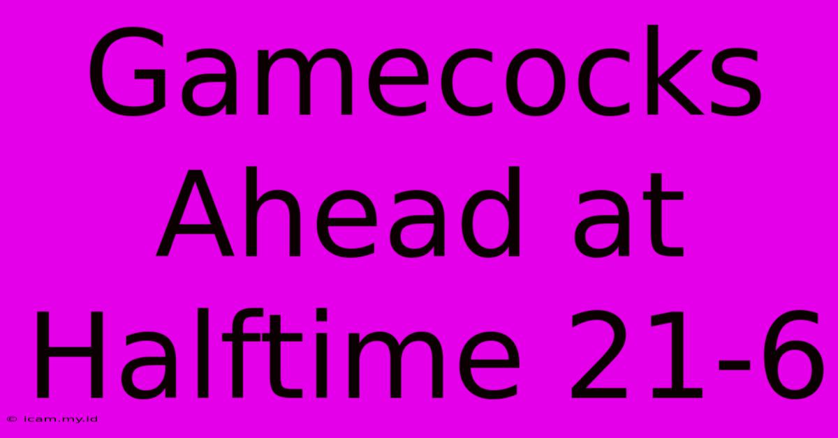 Gamecocks Ahead At Halftime 21-6