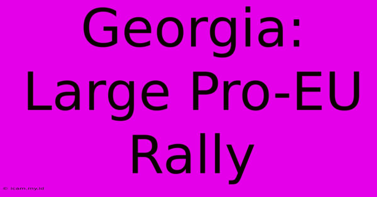 Georgia:  Large Pro-EU Rally