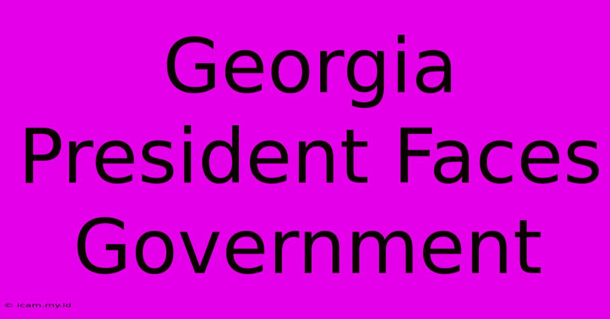 Georgia President Faces Government