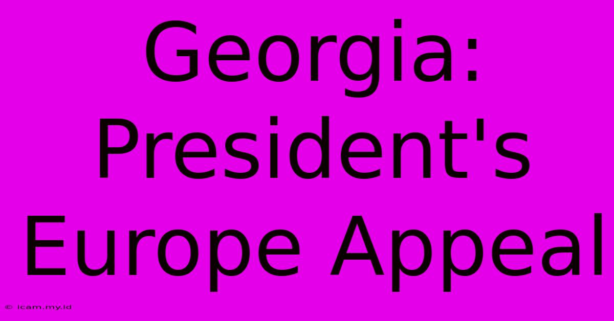 Georgia: President's Europe Appeal