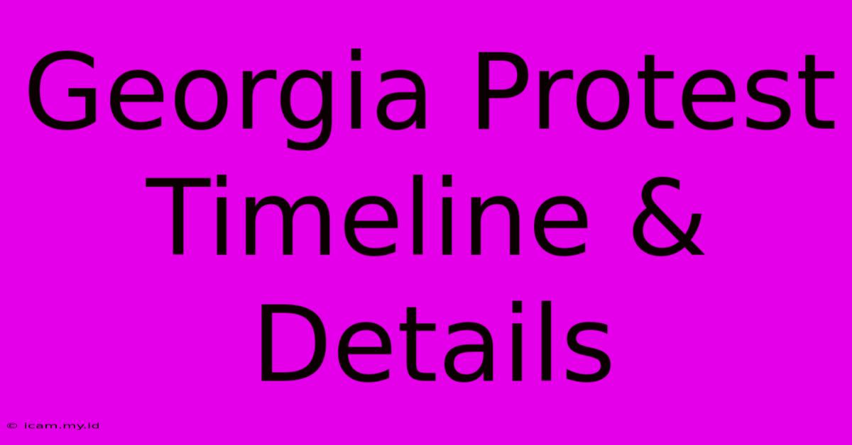 Georgia Protest Timeline & Details