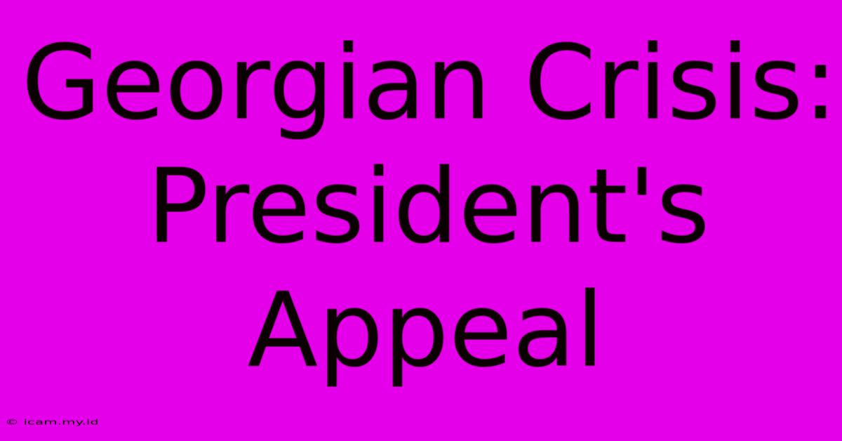 Georgian Crisis: President's Appeal