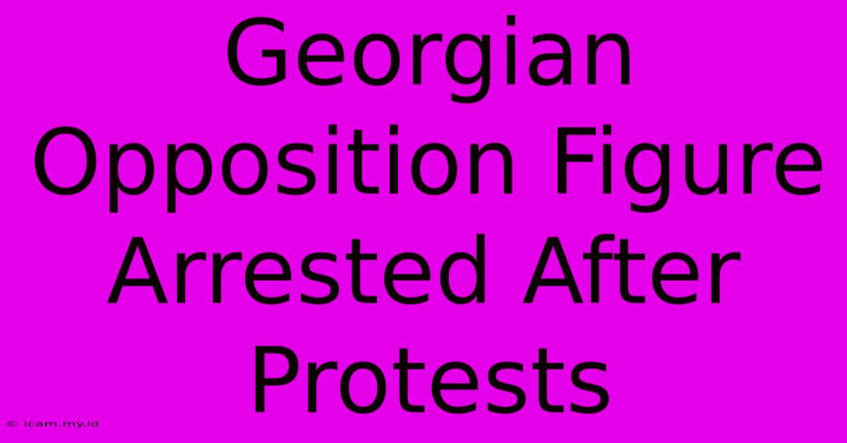 Georgian Opposition Figure Arrested After Protests