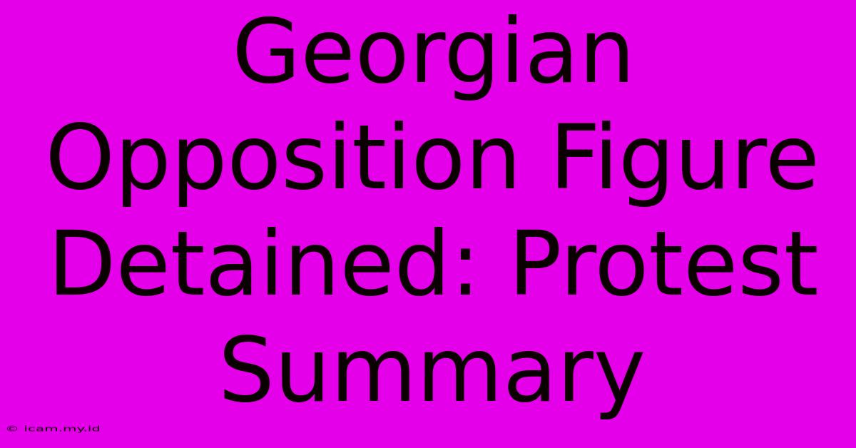 Georgian Opposition Figure Detained: Protest Summary