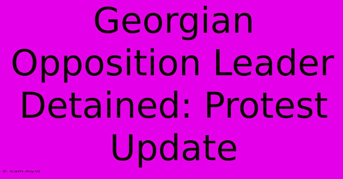 Georgian Opposition Leader Detained: Protest Update