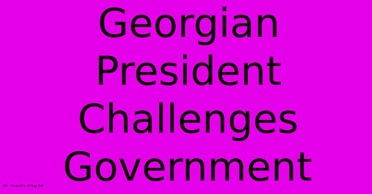 Georgian President Challenges Government