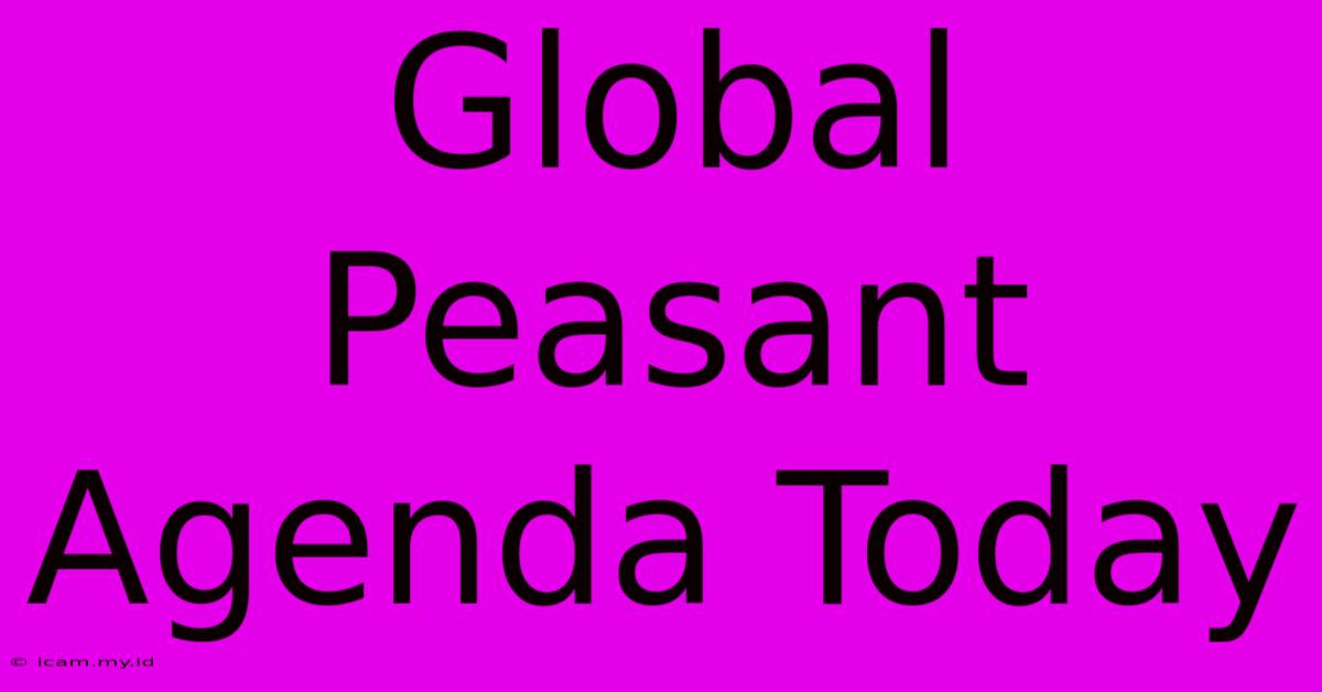 Global Peasant Agenda Today