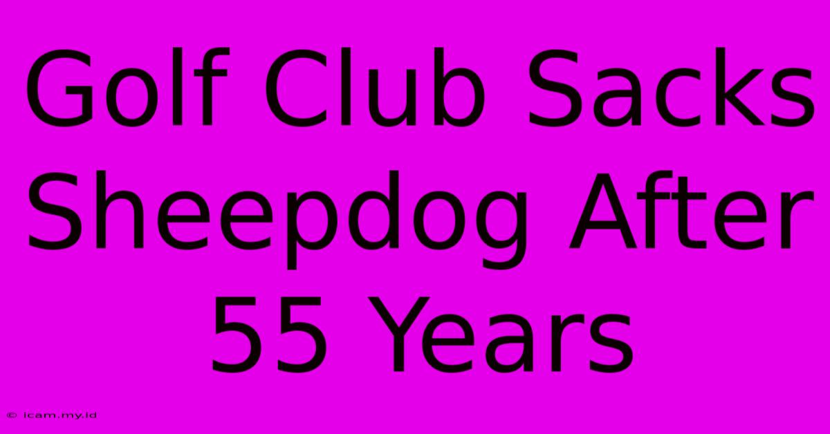 Golf Club Sacks Sheepdog After 55 Years