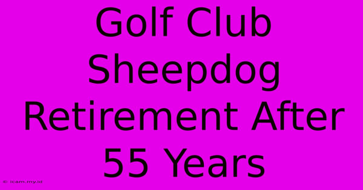 Golf Club Sheepdog Retirement After 55 Years