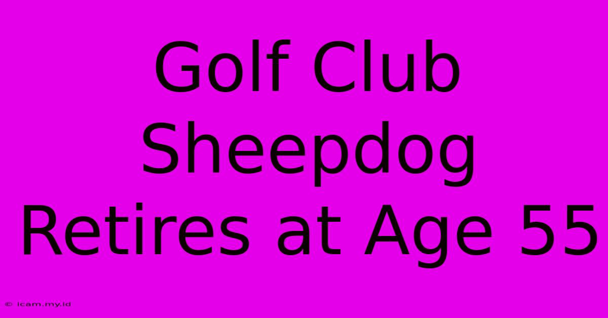 Golf Club Sheepdog Retires At Age 55