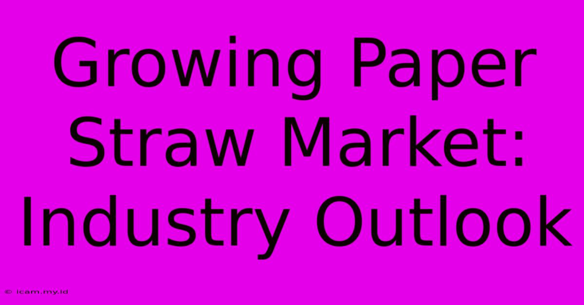 Growing Paper Straw Market: Industry Outlook