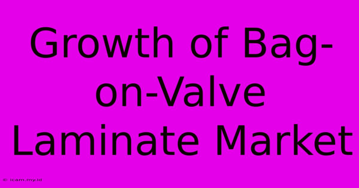 Growth Of Bag-on-Valve Laminate Market