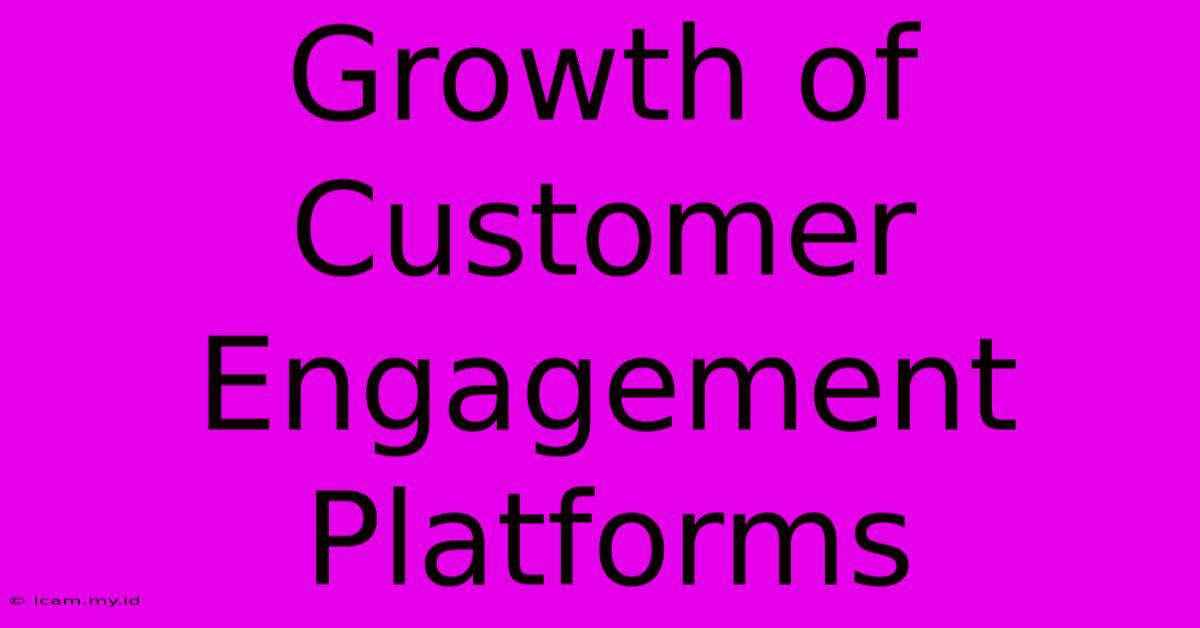 Growth Of Customer Engagement Platforms