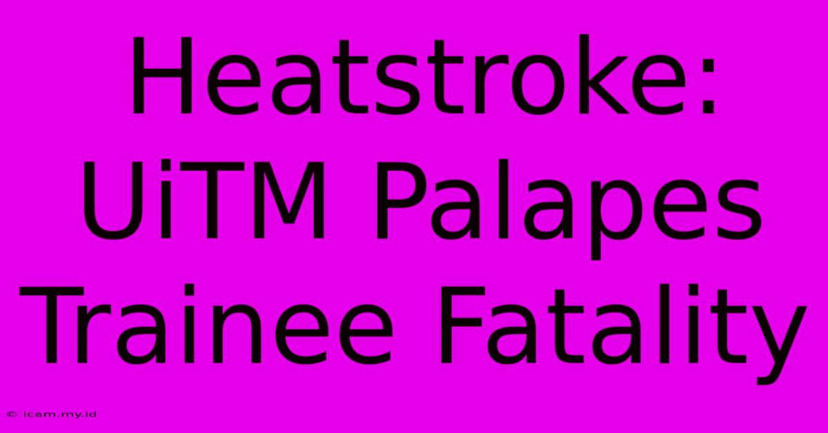 Heatstroke: UiTM Palapes Trainee Fatality