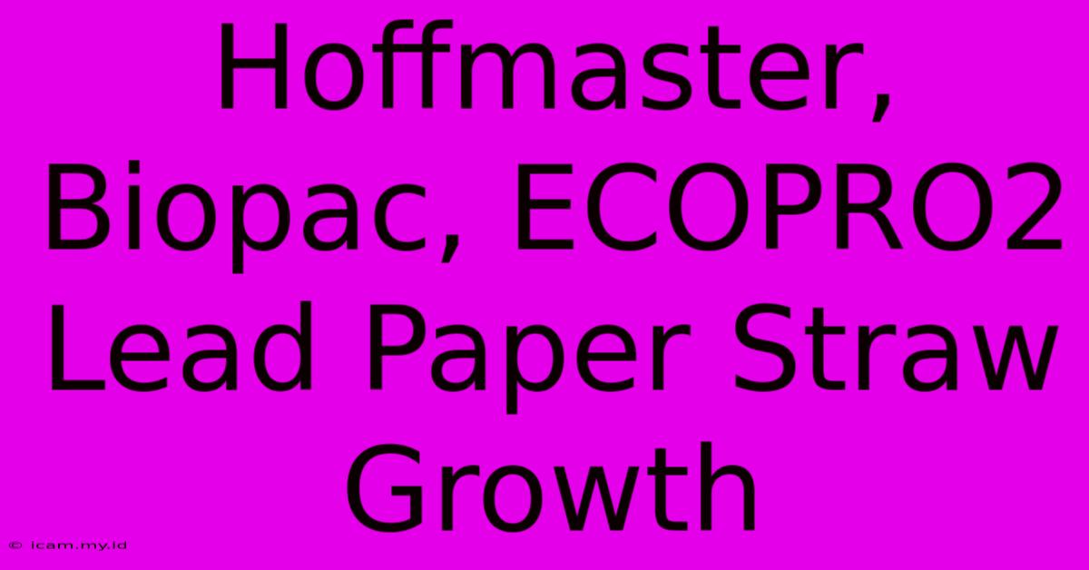 Hoffmaster, Biopac, ECOPRO2 Lead Paper Straw Growth