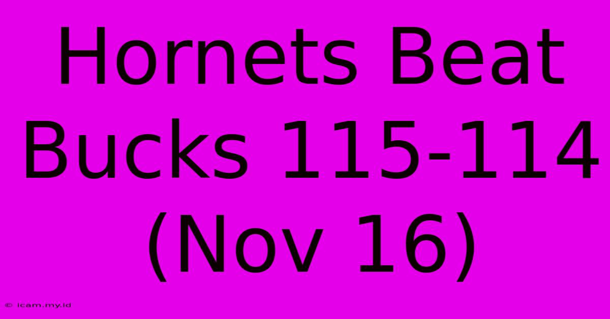 Hornets Beat Bucks 115-114 (Nov 16)