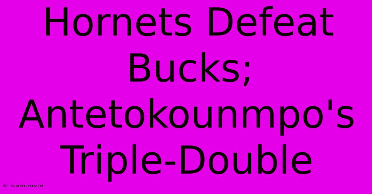 Hornets Defeat Bucks; Antetokounmpo's Triple-Double