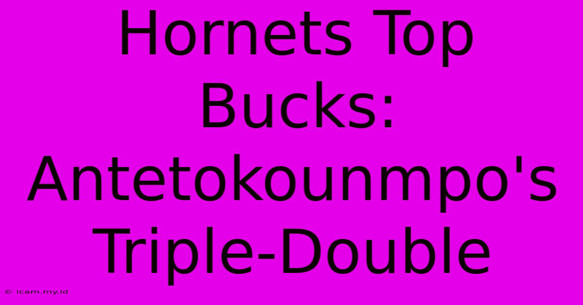 Hornets Top Bucks: Antetokounmpo's Triple-Double