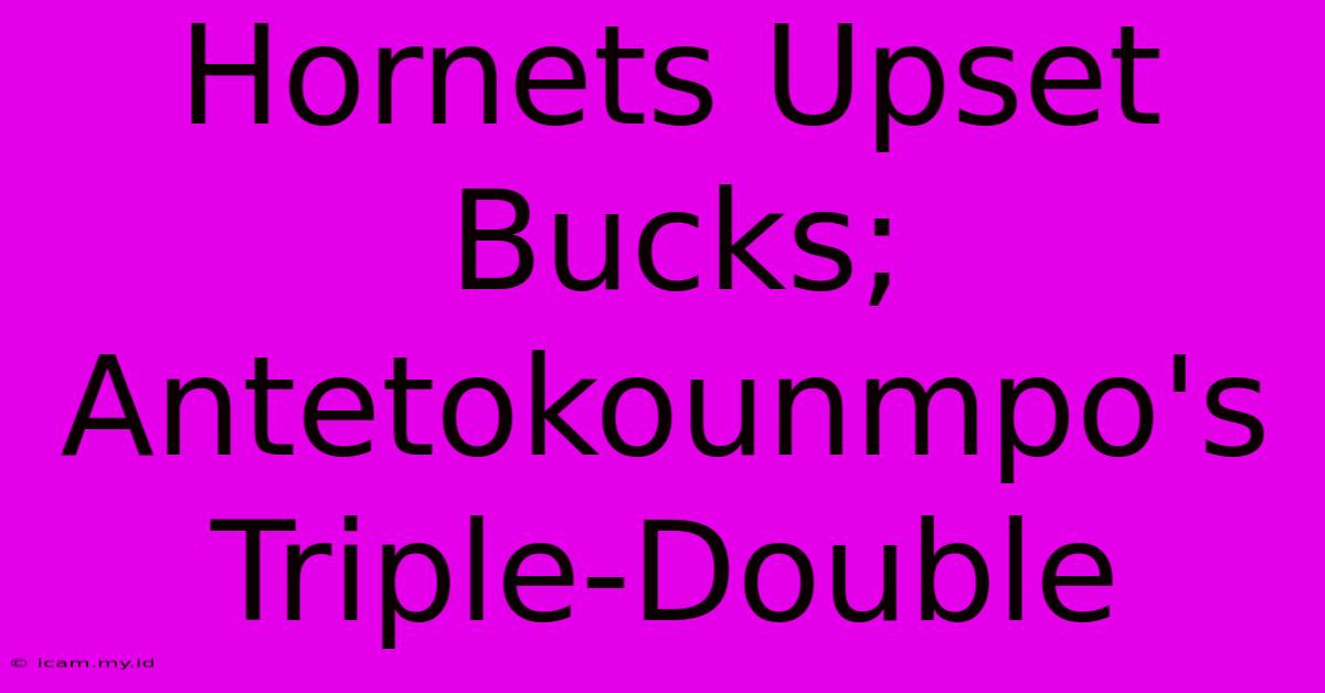 Hornets Upset Bucks; Antetokounmpo's Triple-Double