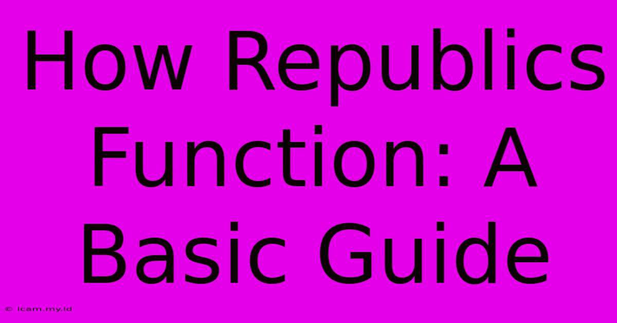 How Republics Function: A Basic Guide