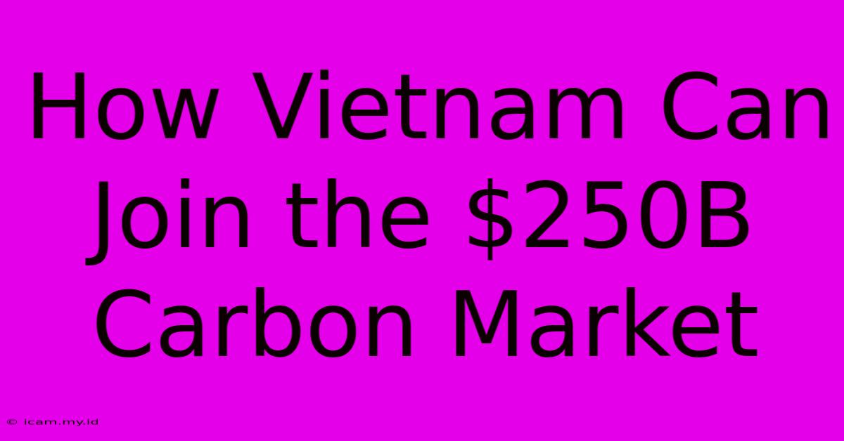 How Vietnam Can Join The $250B Carbon Market