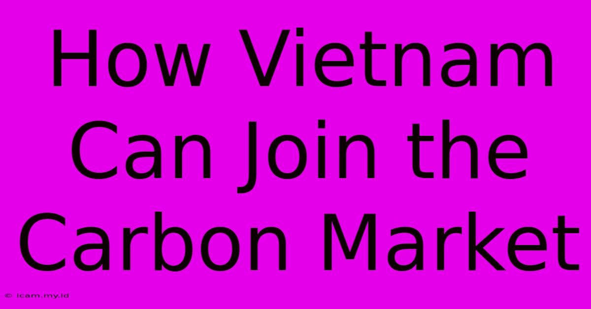 How Vietnam Can Join The Carbon Market