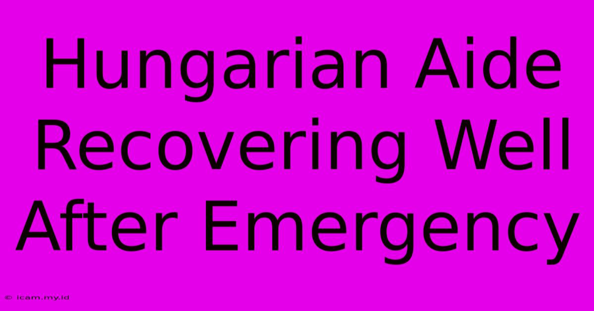 Hungarian Aide Recovering Well After Emergency