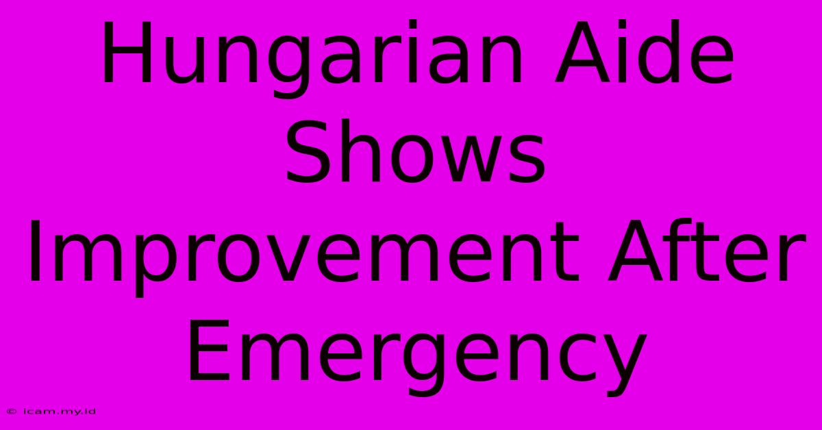 Hungarian Aide Shows Improvement After Emergency