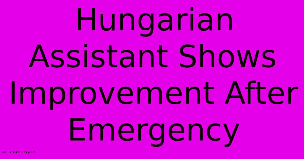 Hungarian Assistant Shows Improvement After Emergency