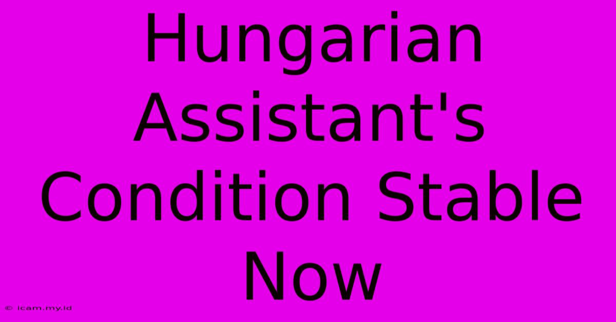 Hungarian Assistant's Condition Stable Now