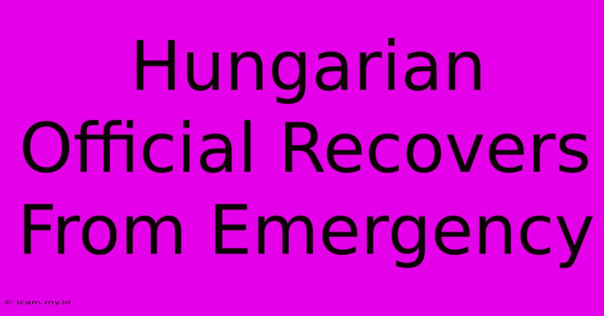 Hungarian Official Recovers From Emergency