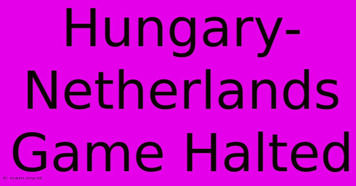 Hungary-Netherlands Game Halted