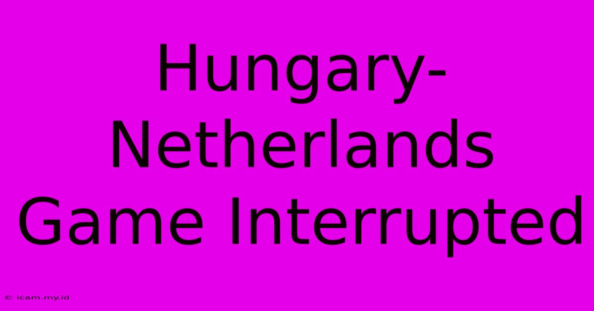 Hungary-Netherlands Game Interrupted