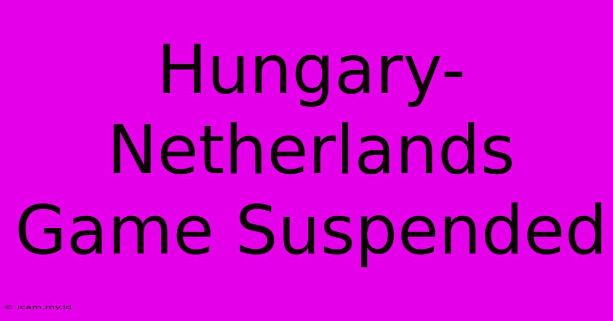 Hungary-Netherlands Game Suspended