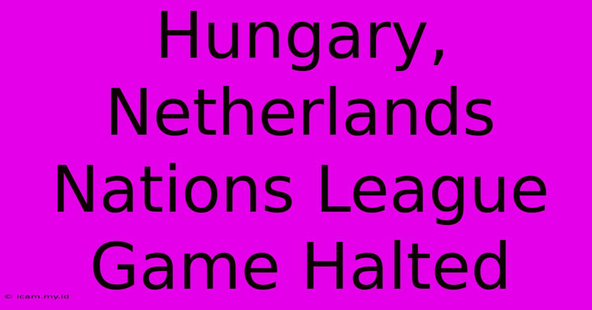 Hungary, Netherlands Nations League Game Halted