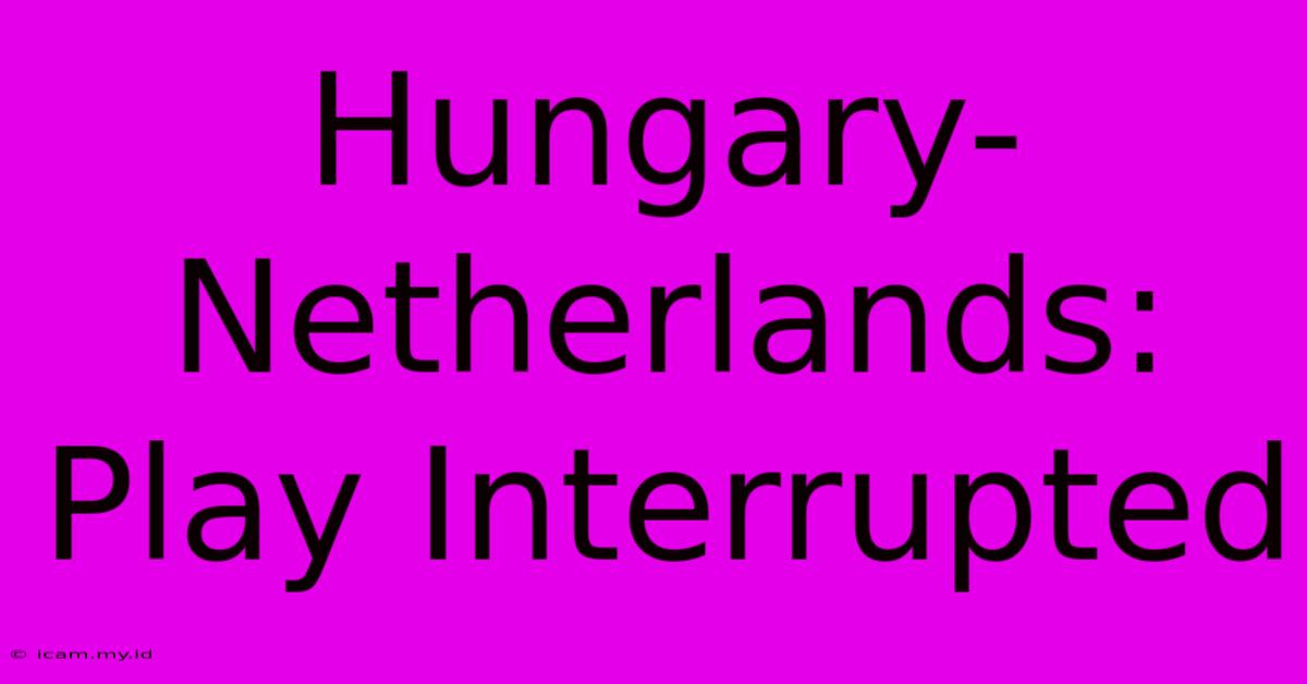 Hungary-Netherlands: Play Interrupted